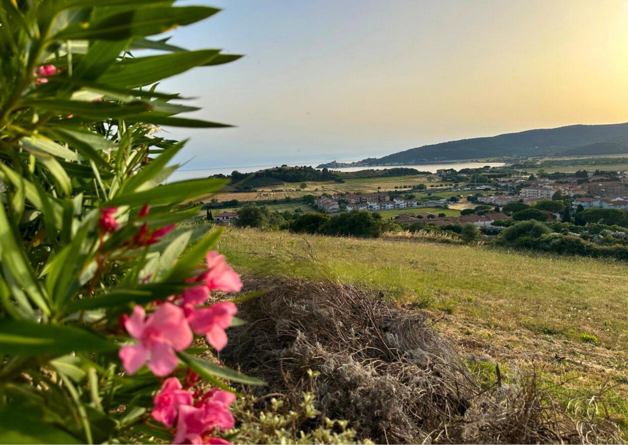 Agriturismo La Vista - Adults Only Фонтебланда Экстерьер фото